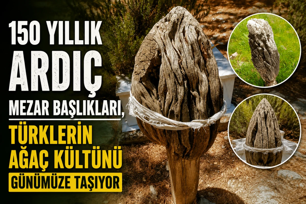     150 Yıllık Ardı&ccedil; Mezar Başlıkları, T&uuml;rklerin Ağa&ccedil; K&uuml;lt&uuml;n&uuml; G&uuml;n&uuml;m&uuml;ze Taşıyor