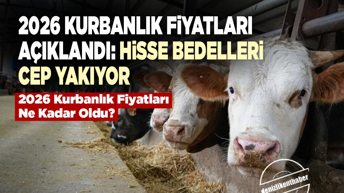 2026 Kurbanlık Piyasasında Yeni Rakamlar: İşte İl İl Fiyat Listesi