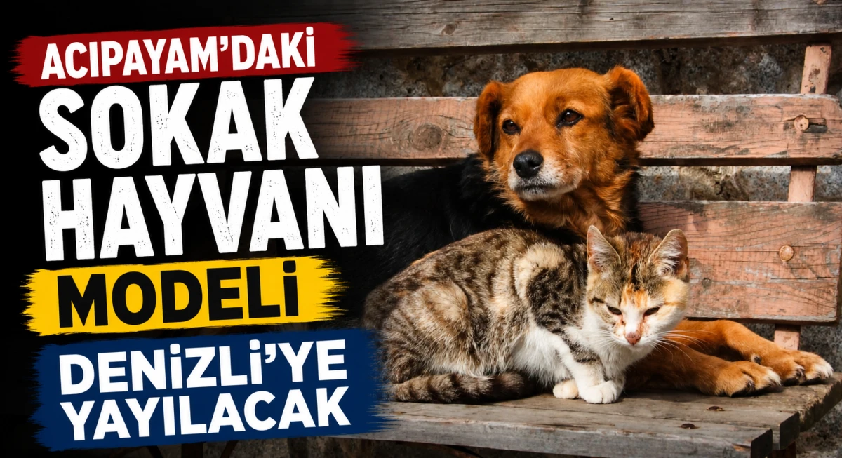 Acıpayam&rsquo;daki Sokak Hayvanı Modeli Denizli&rsquo;ye Yayılacak