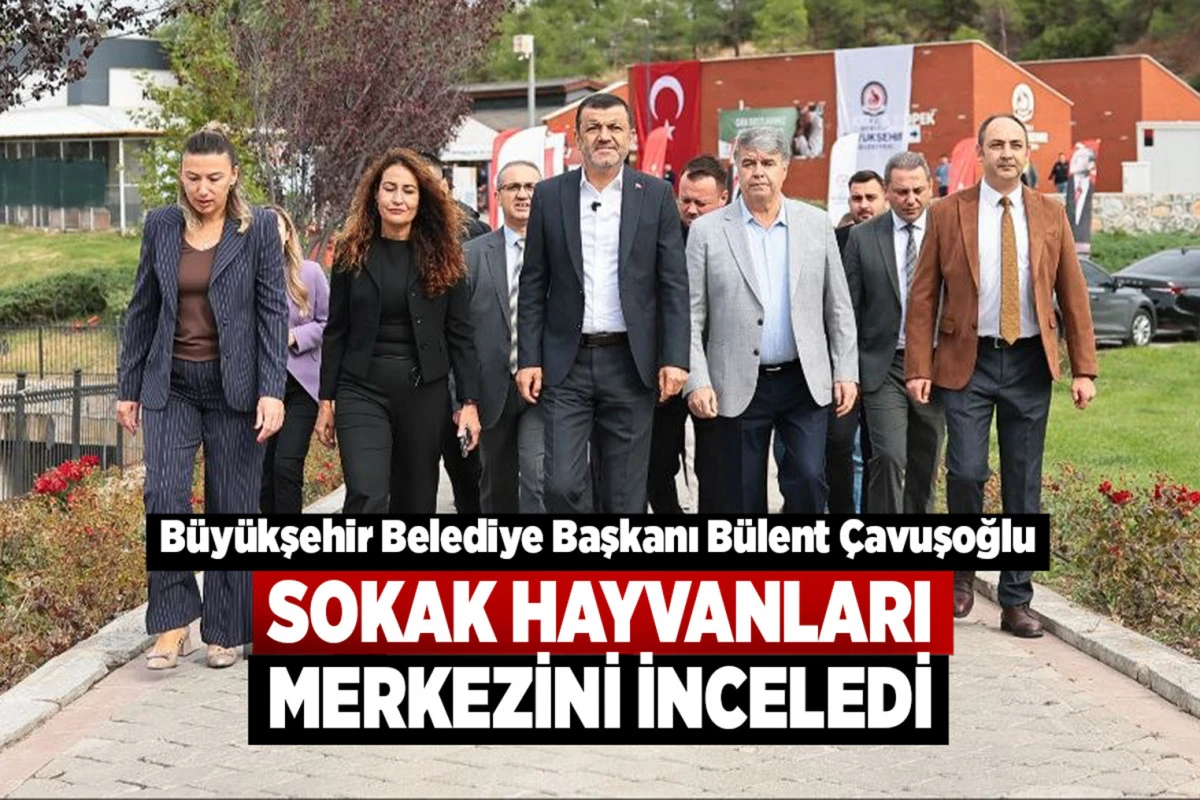 Başkan &Ccedil;avuşoğlu Sokak Hayvanları Merkezini İnceledi