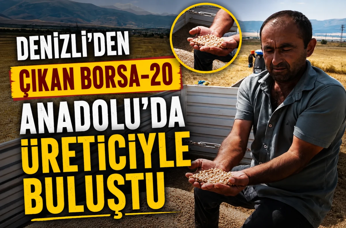 Borsa-20 İlk Kez Afyonkarahisar&rsquo;da Hasat Edildi