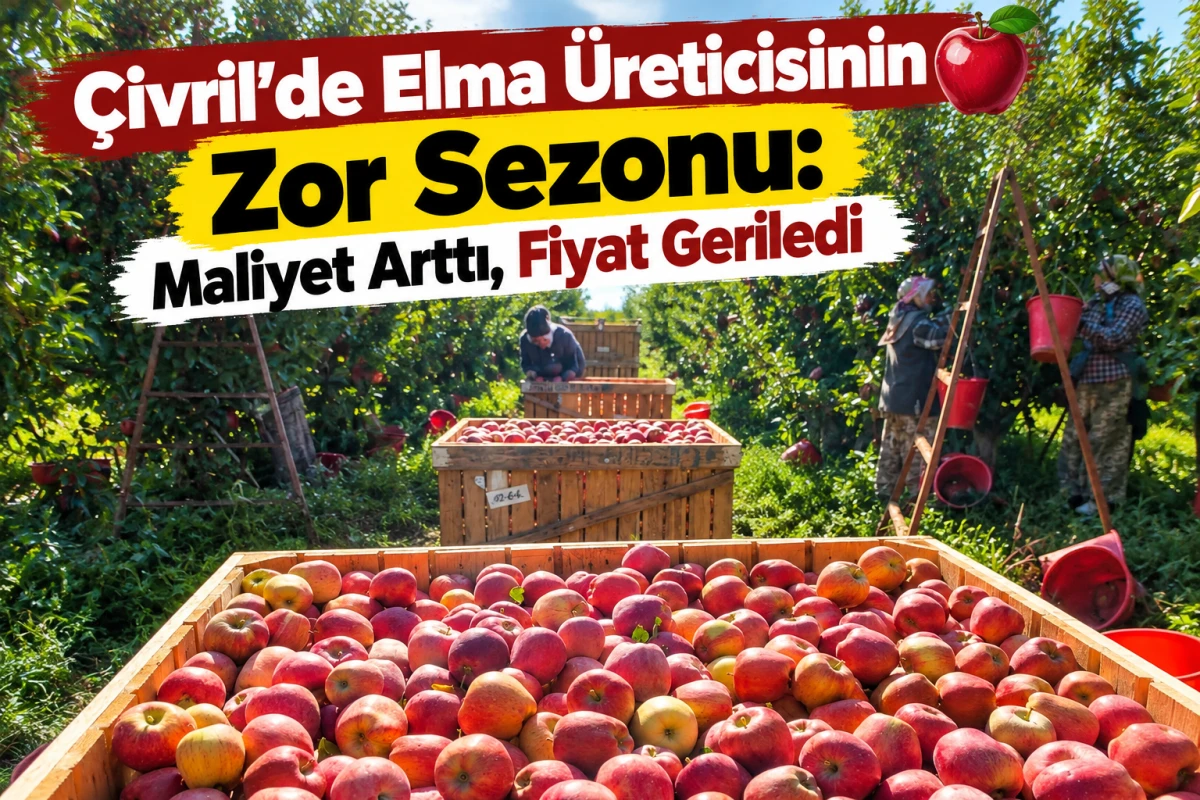 &Ccedil;ivril&rsquo;de Elma &Uuml;reticisinin Zor Sezonu: Maliyet Arttı, Fiyat Geriledi