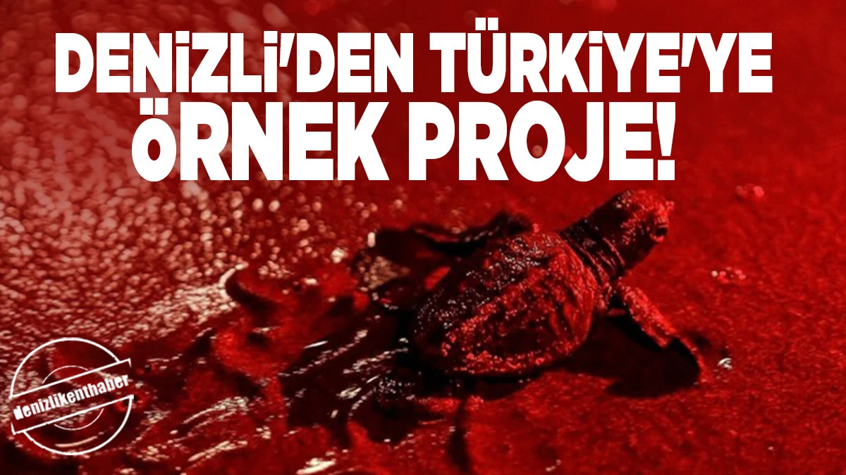 Deniz Kaplumbağaları İ&ccedil;in Kıyılar Kırmızı Işıkla Aydınlatılacak