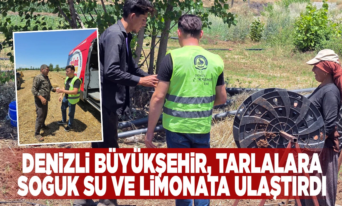 Denizli B&uuml;y&uuml;kşehir tarlalarda emek&ccedil;inin yanında