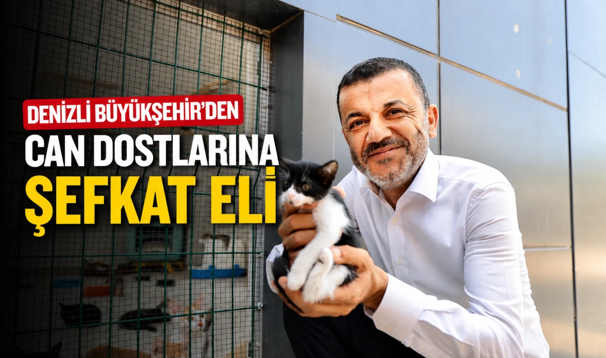 Denizli B&uuml;y&uuml;kşehir&rsquo;den can dostlarına şefkat eli