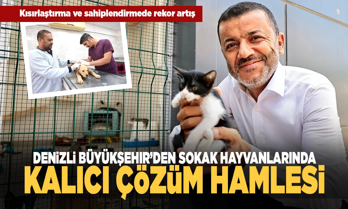 Denizli B&uuml;y&uuml;kşehir&rsquo;den sokak hayvanlarında kalıcı &ccedil;&ouml;z&uuml;m hamlesi