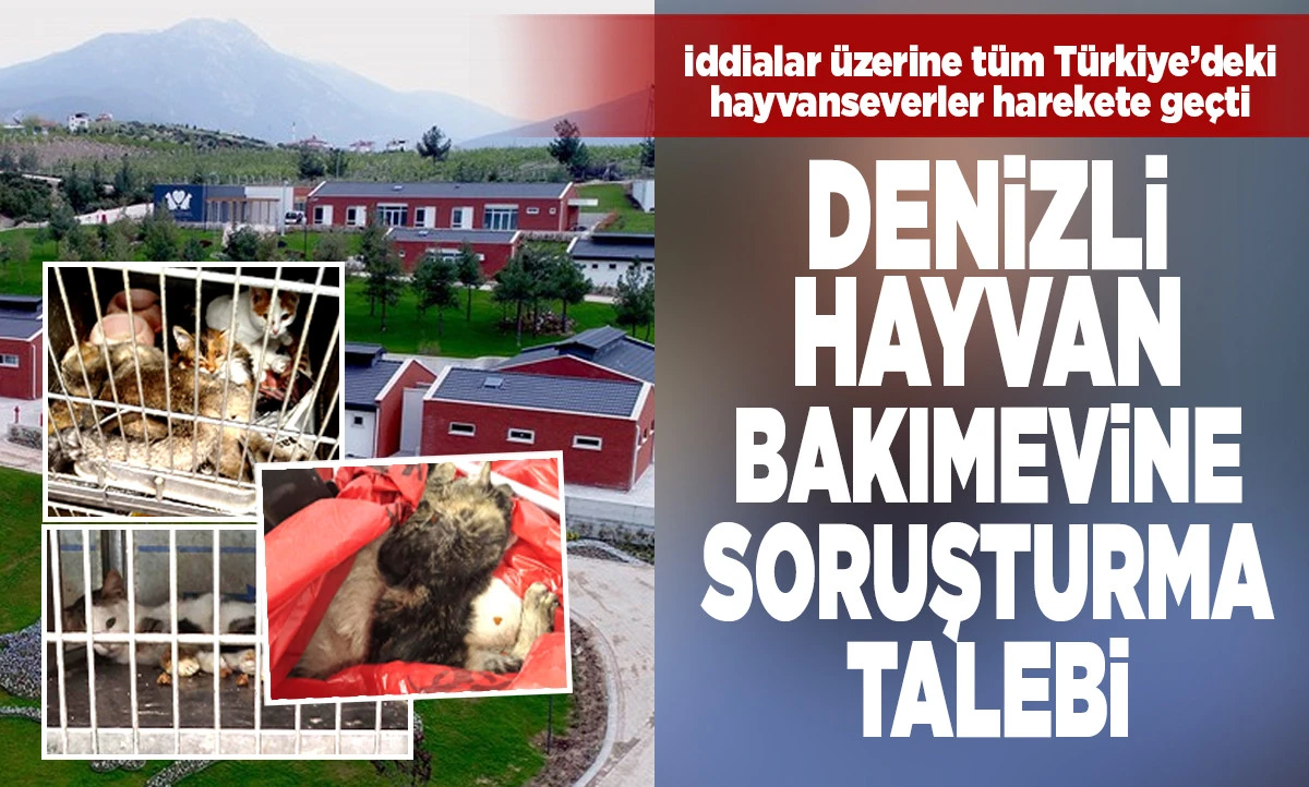 Denizli Hayvan Bakımevinde Soruşturma Talebi