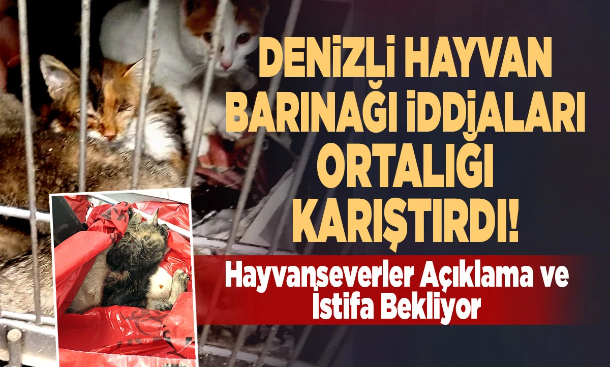 Denizli Hayvan Barınağı İddiaları Ortalığı Karıştırdı!
