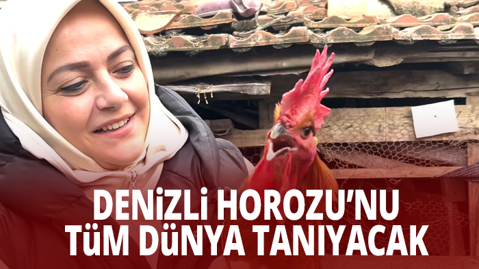 Denizli Horozu’nu tüm dünya tanıyacak