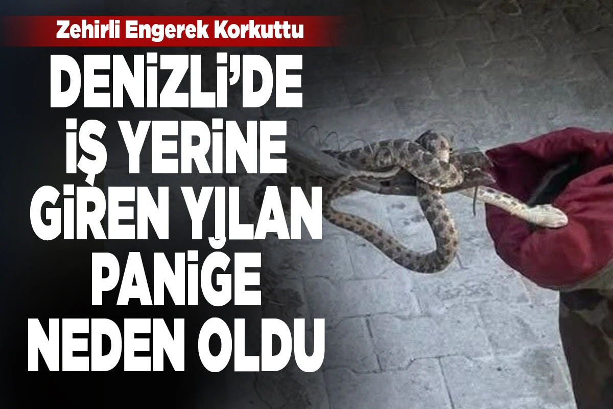 Denizli Sanayi&rsquo;de Yılan Paniği: D&uuml;kkana Giren Zehirli Engerek İtfaiye Tarafından Yakalandı