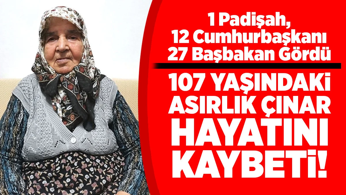Denizli&rsquo;de 107 Yaşındaki Asırlık &Ccedil;ınar Hayatını Kaybetti