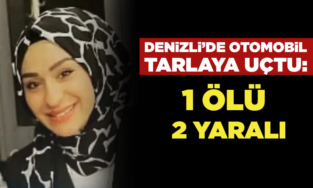 Denizli&rsquo;de Otomobil Tarlaya U&ccedil;tu