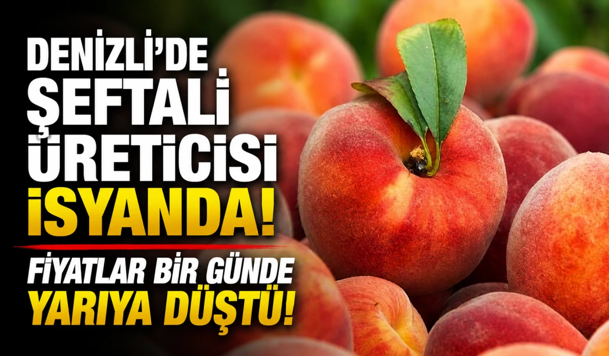 Denizli&rsquo;de şeftali &uuml;reticisi isyanda! Fiyatlar bir g&uuml;nde yarıya d&uuml;şt&uuml;