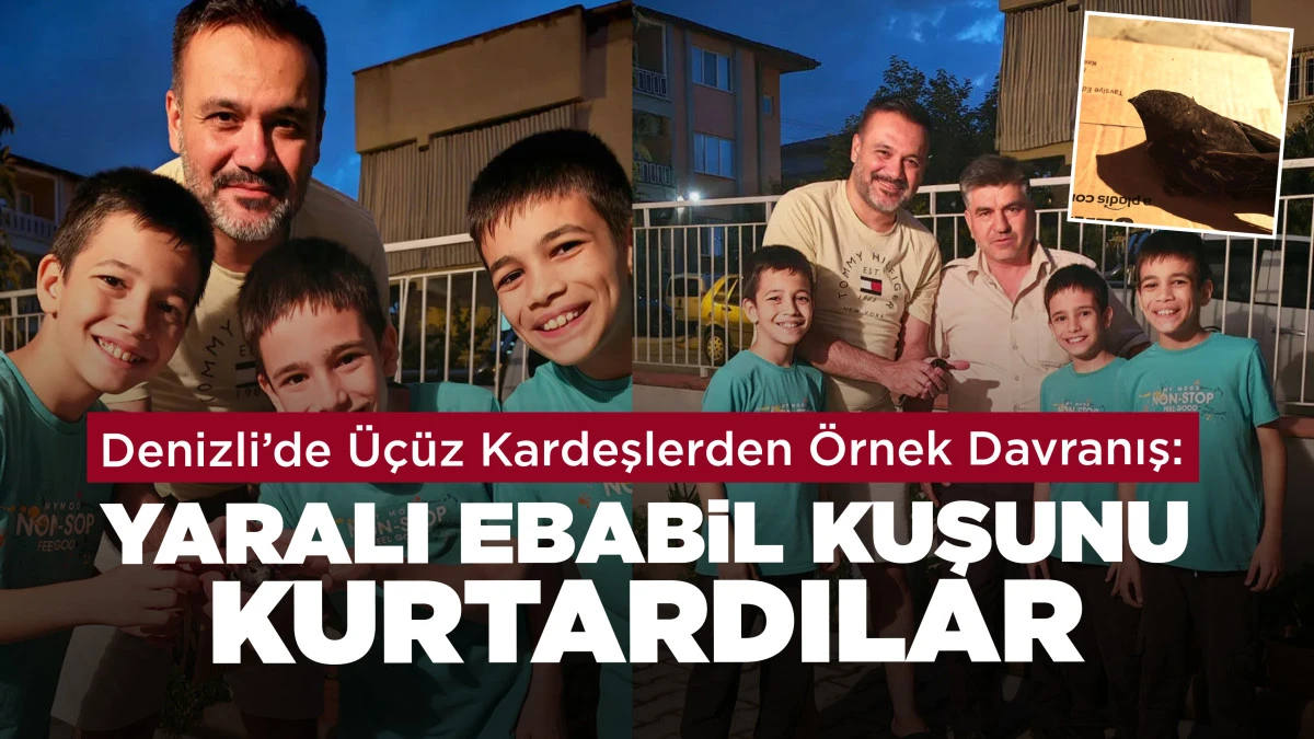 Denizli&rsquo;de &Uuml;&ccedil;&uuml;z Kardeşlerden &Ouml;rnek Davranış: Yaralı Ebabil Kuşunu Kurtardılar