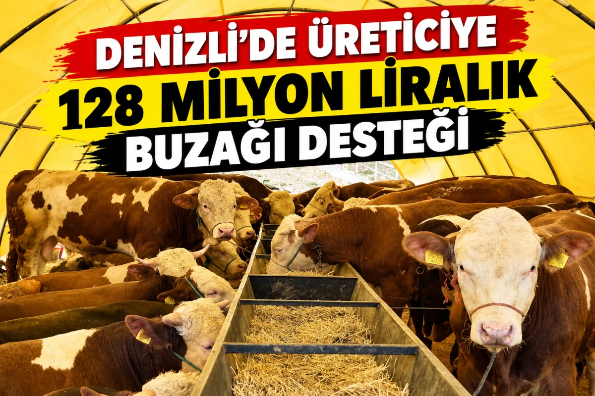     Denizli&rsquo;de &Uuml;reticiye 128 Milyon Liralık Buzağı Desteği