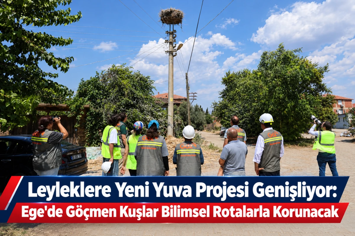 Leyleklere Yeni Yuva Projesi Genişliyor: Ege'de G&ouml;&ccedil;men Kuşlar Bilimsel Rotalarla Korunacak
