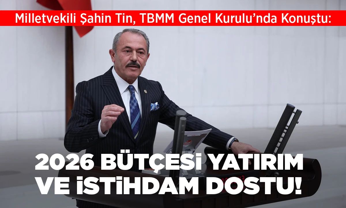 Milletvekili Şahin Tin, TBMM Genel Kurulu&rsquo;nda Konuştu