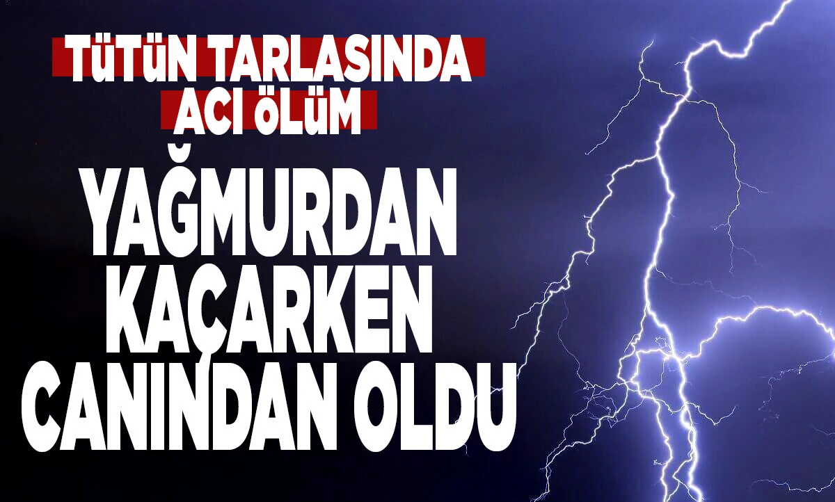 Nikfer'de T&uuml;t&uuml;n Tarlasında Acı &Ouml;l&uuml;m: 46 Yaşındaki Himmet &Ouml;zkan'a Yıldırım D&uuml;şt&uuml;