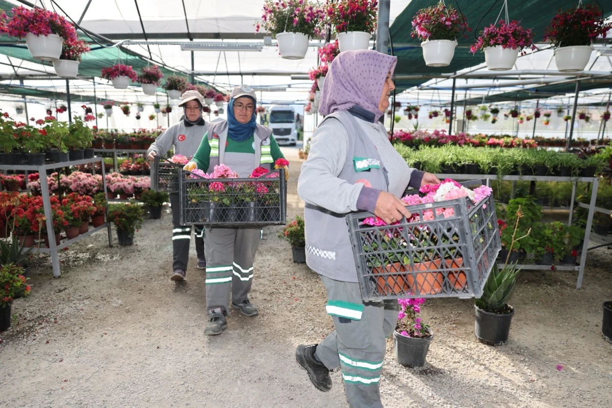 PAMUKKALE BELEDİYESİ &Uuml;RETİYOR, PAMUKKALE KENDİ &Ccedil;İ&Ccedil;EĞİYLE G&Uuml;ZELLEŞİYOR