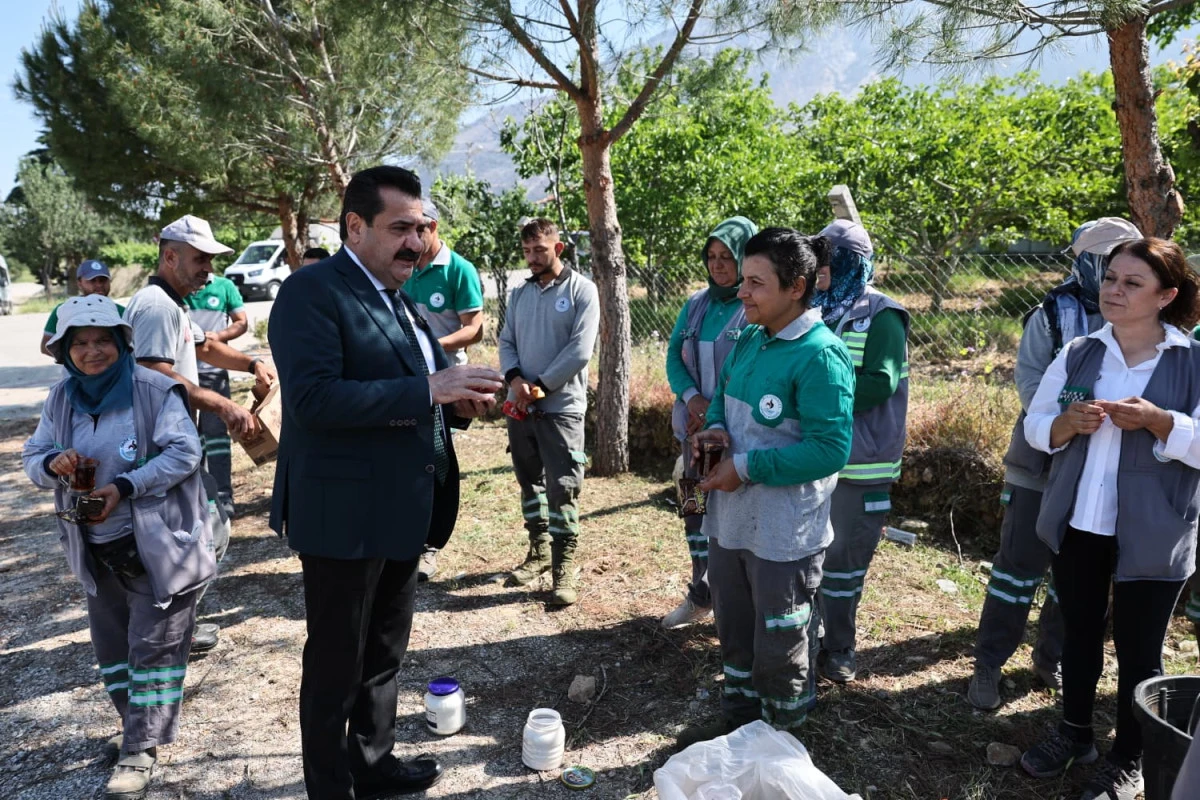 PAMUKKALE&rsquo;DE 823 KİLOMETREKARELİK ALANDA YABANİ OT MESAİSİ