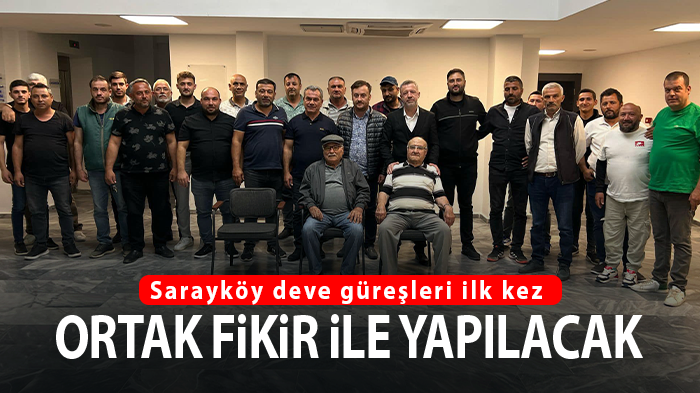 Sarayköy deve güreşleri ilk kez ortak fikir ile yapılacak