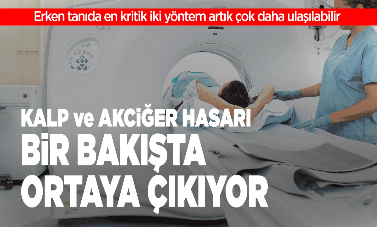 Sigara Ger&ccedil;eği Artık Gizlenemiyor: Akciğer Hasarı Bir Bakışta Ortaya &Ccedil;ıkıyor