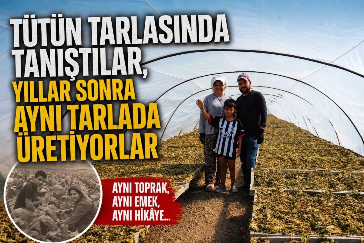 T&uuml;t&uuml;n Tarlasında Tanıştılar, Yıllar Sonra Aynı Tarlada &Uuml;retiyorlar