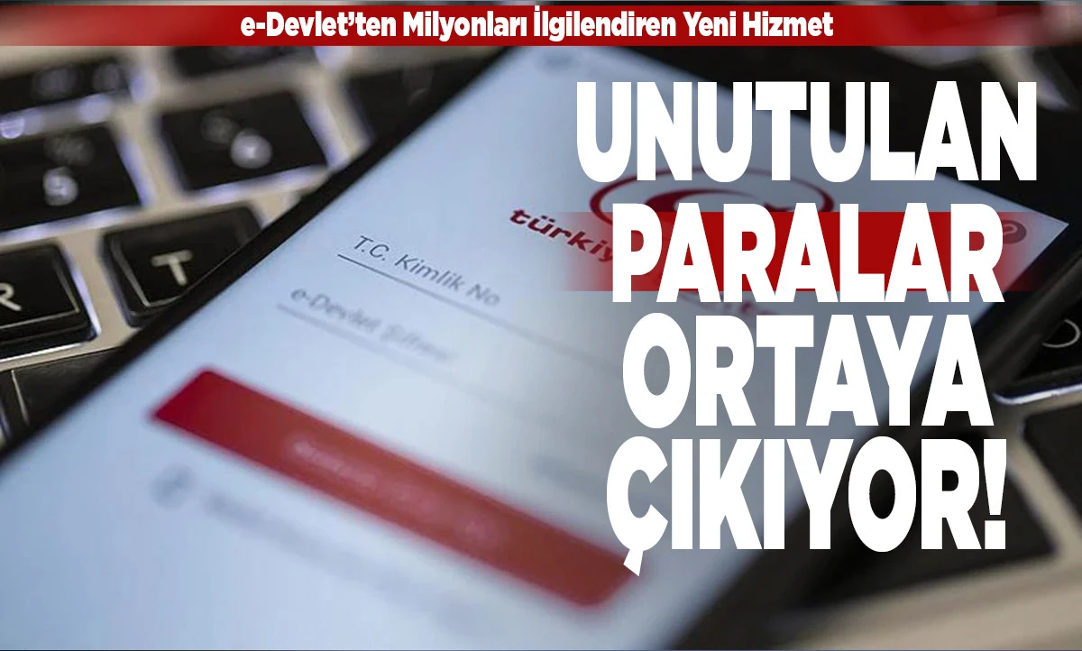 Unutulan Paralar Ortaya &Ccedil;ıkıyor! e-Devlet&rsquo;e "Elektronik Para Hesap Sorgulama" &Ouml;zelliği Geldi