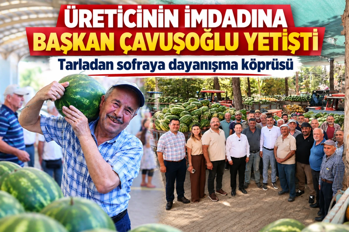 &Uuml;reticinin İmdadına Başkan &Ccedil;avuşoğlu Yetişti: Tarladan Sofraya Kurulan Dayanışma K&ouml;pr&uuml;s&uuml;yle Tonlarca Karpuz Dağıtıldı!