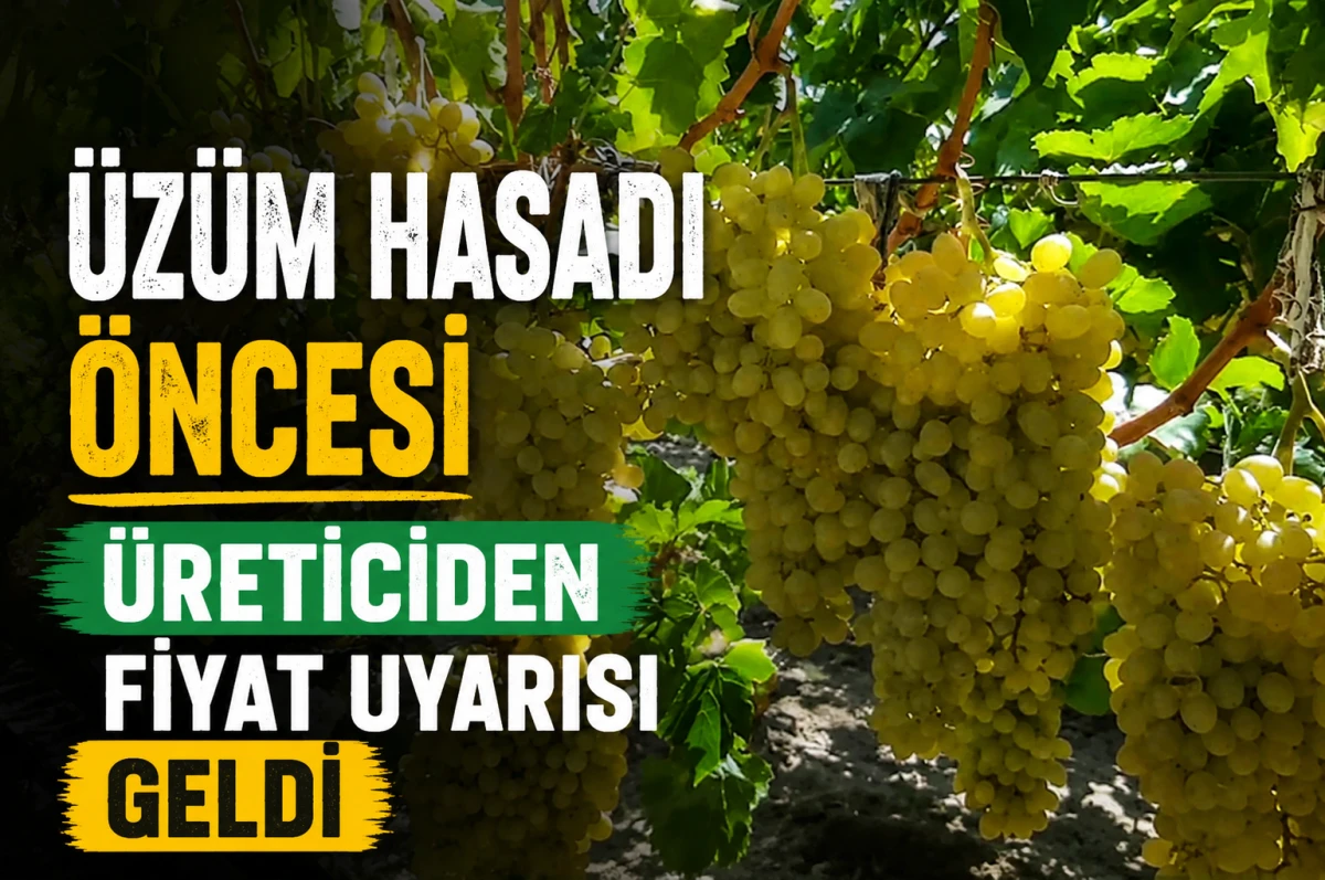 &Uuml;z&uuml;m Hasadı &Ouml;ncesi &Uuml;reticiden Fiyat Uyarısı Geldi